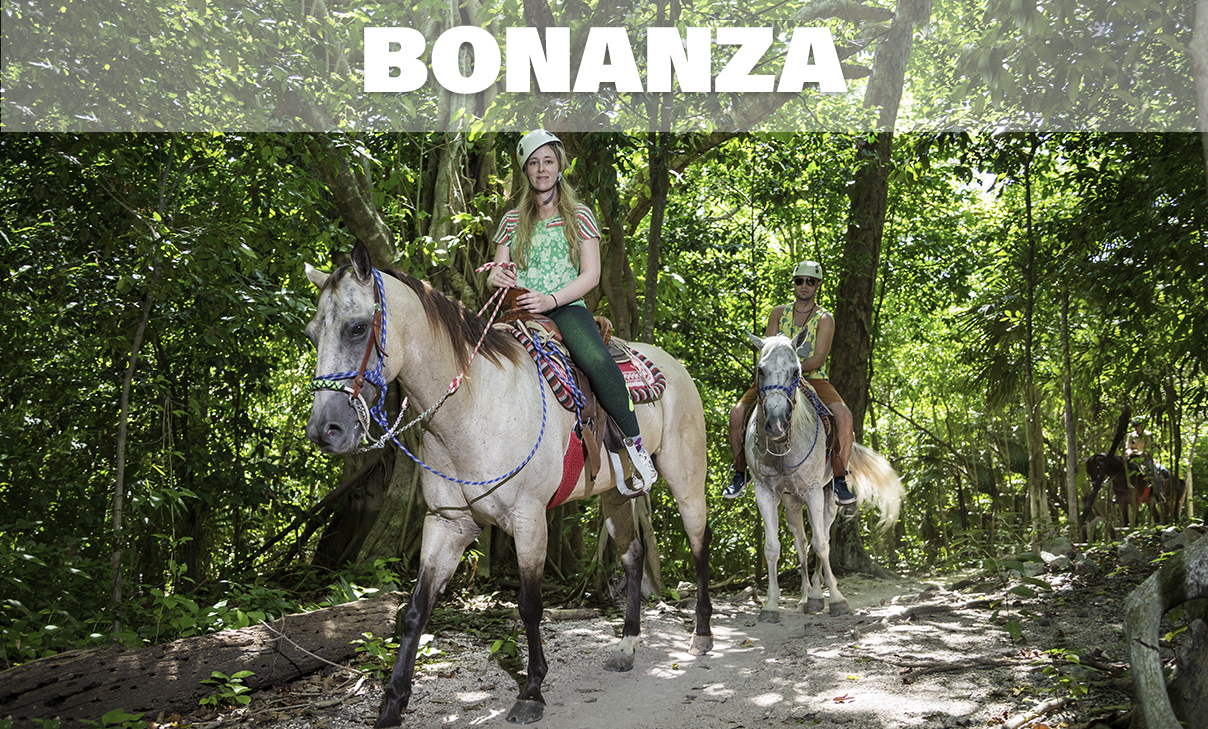 Bonanza