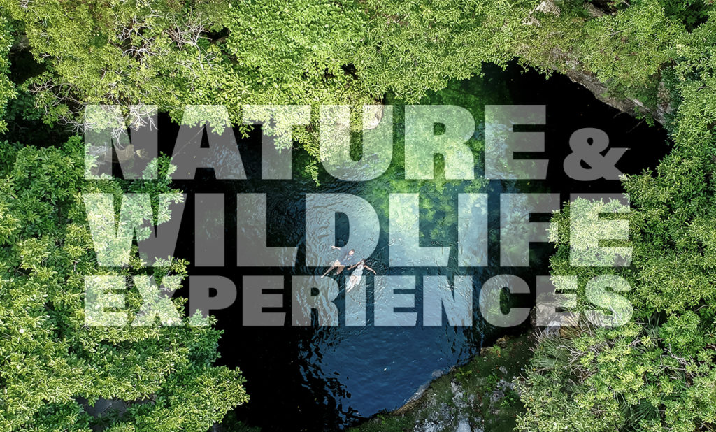 Nature Wildlife Experiences
