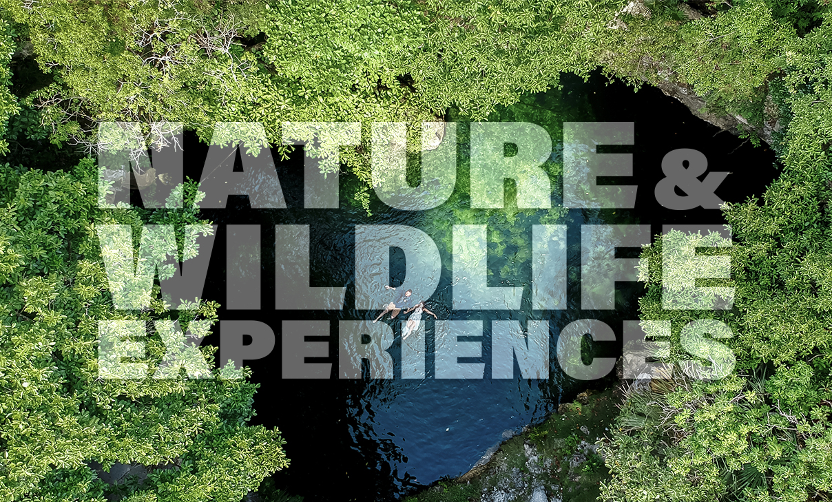 Nature Wildlife Experiences