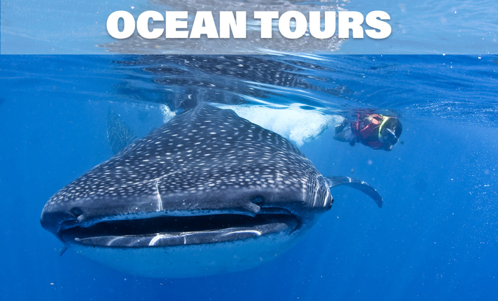 cancun-ocean-Tours