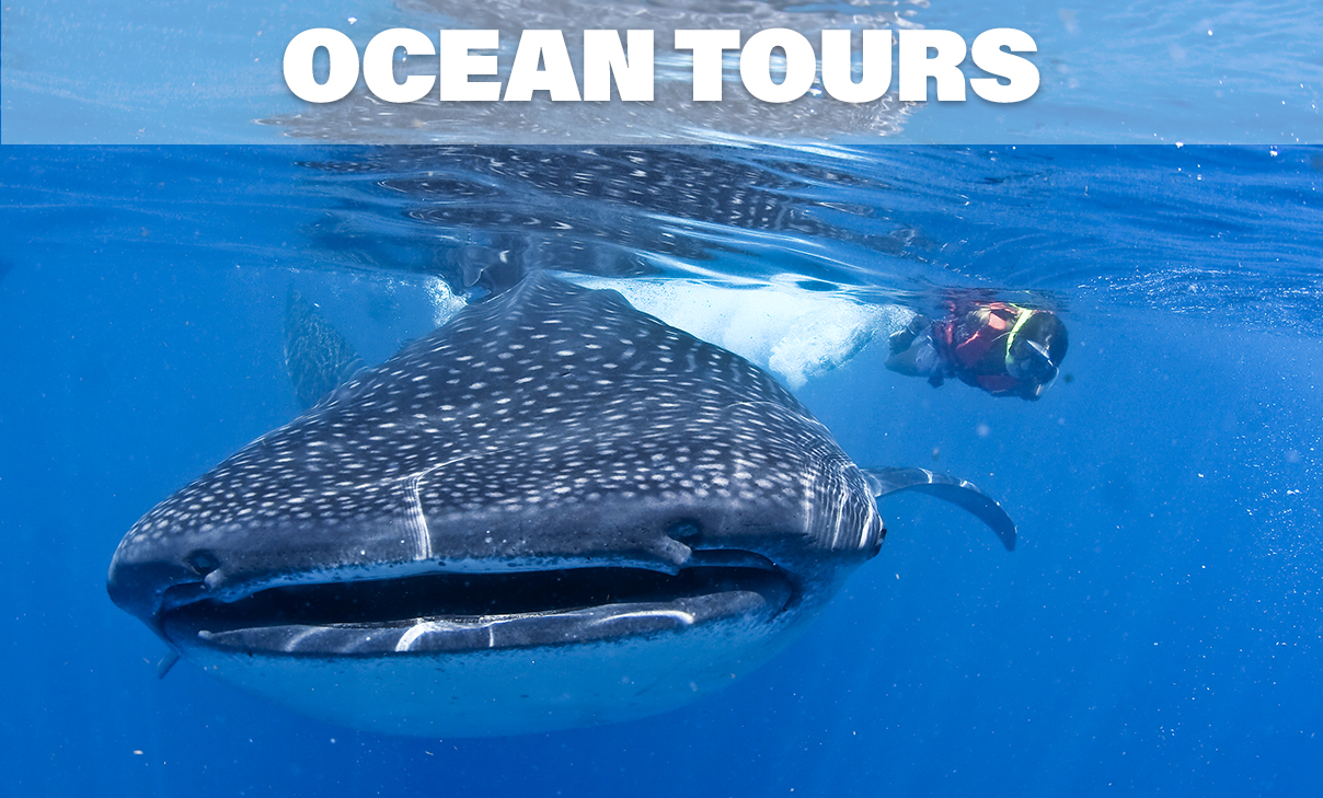 cancun-ocean-Tours